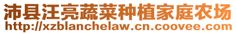 沛縣汪亮蔬菜種植家庭農(nóng)場(chǎng)