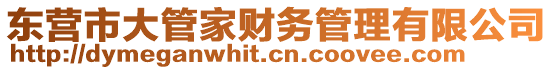 東營市大管家財務管理有限公司