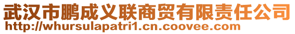 武漢市鵬成義聯(lián)商貿(mào)有限責(zé)任公司