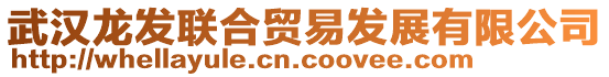 武漢龍發(fā)聯(lián)合貿易發(fā)展有限公司