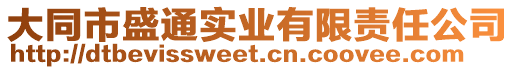 大同市盛通實(shí)業(yè)有限責(zé)任公司