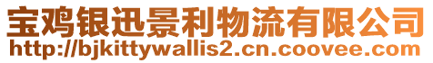 寶雞銀迅景利物流有限公司