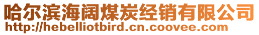 哈爾濱海闊煤炭經(jīng)銷有限公司