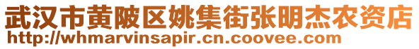 武漢市黃陂區(qū)姚集街張明杰農(nóng)資店