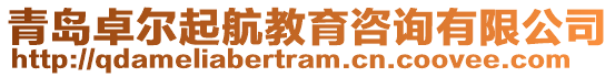 青島卓爾起航教育咨詢有限公司