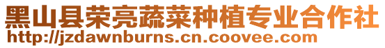黑山縣榮亮蔬菜種植專業(yè)合作社