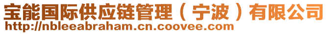 寶能國際供應鏈管理(寧波)有限公司