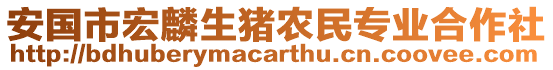 安國市宏麟生豬農(nóng)民專業(yè)合作社