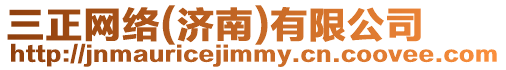 三正網絡(濟南)有限公司
