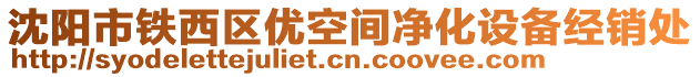 沈陽市鐵西區(qū)優(yōu)空間凈化設(shè)備經(jīng)銷處