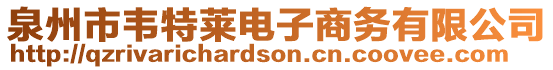 泉州市韋特萊電子商務(wù)有限公司