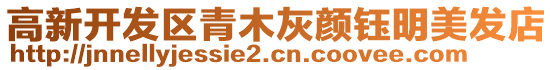 高新開發區青木灰顏鈺明美發店