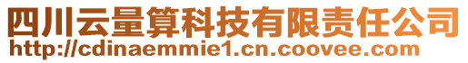 四川云量算科技有限責(zé)任公司