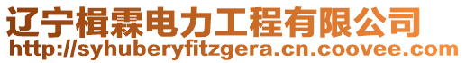 遼寧楫霖電力工程有限公司