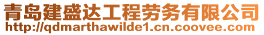 青島建盛達工程勞務有限公司