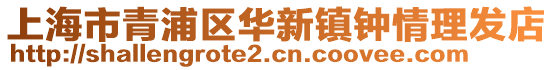 上海市青浦區(qū)華新鎮(zhèn)鐘情理發(fā)店