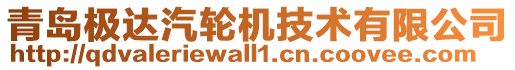 青島極達汽輪機技術有限公司