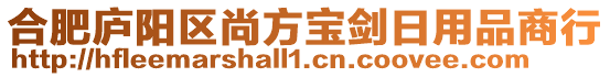 合肥廬陽區尚方寶劍日用品商行