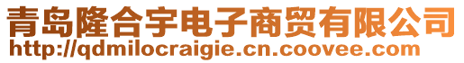 青島隆合宇電子商貿有限公司