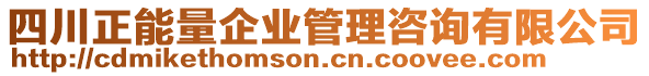 四川正能量企業(yè)管理咨詢有限公司