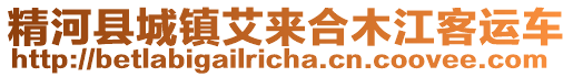 精河縣城鎮(zhèn)艾來合木江客運(yùn)車