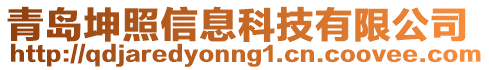 青島坤照信息科技有限公司