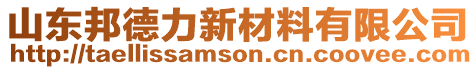 山東邦德力新材料有限公司