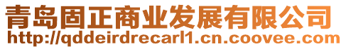 青島固正商業(yè)發(fā)展有限公司