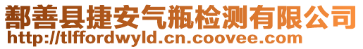 鄯善縣捷安氣瓶檢測有限公司