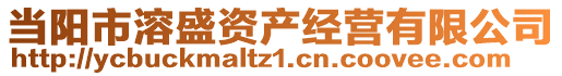 當陽市溶盛資產經營有限公司