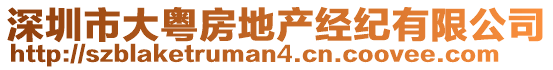 深圳市大粵房地產(chǎn)經(jīng)紀(jì)有限公司