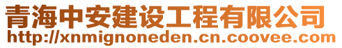 青海中安建設(shè)工程有限公司