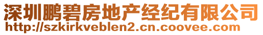 深圳鵬碧房地產(chǎn)經(jīng)紀(jì)有限公司