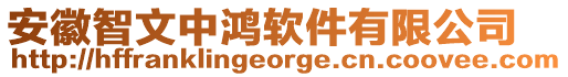 安徽智文中鴻軟件有限公司