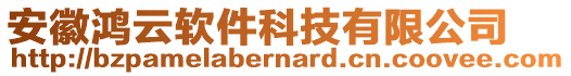 安徽鴻云軟件科技有限公司