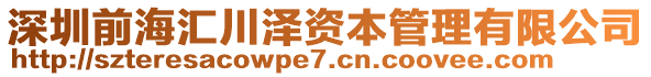 深圳前海匯川澤資本管理有限公司