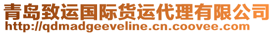 青島致運(yùn)國(guó)際貨運(yùn)代理有限公司