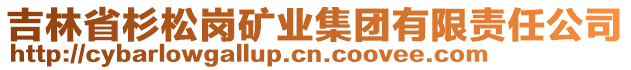 吉林省杉松崗礦業(yè)集團有限責(zé)任公司