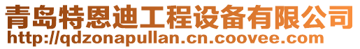 青島特恩迪工程設(shè)備有限公司