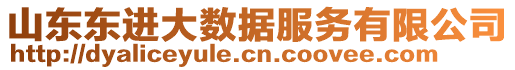 山東東進大數(shù)據(jù)服務(wù)有限公司