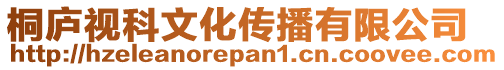 桐廬視科文化傳播有限公司