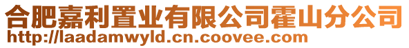 合肥嘉利置業(yè)有限公司霍山分公司