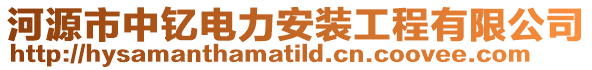 河源市中釔電力安裝工程有限公司