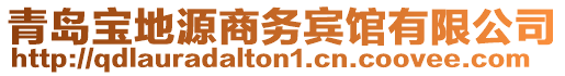 青島寶地源商務賓館有限公司