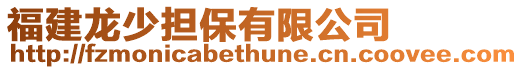 福建龍少擔保有限公司