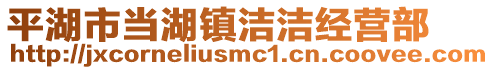 平湖市當湖鎮潔潔經營部