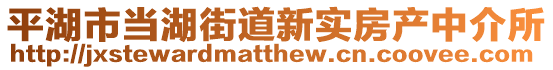 平湖市當(dāng)湖街道新實(shí)房產(chǎn)中介所