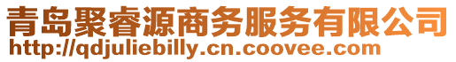 青島聚睿源商務(wù)服務(wù)有限公司