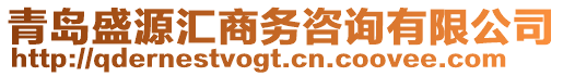 青島盛源匯商務咨詢有限公司