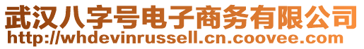 武漢八字號電子商務有限公司